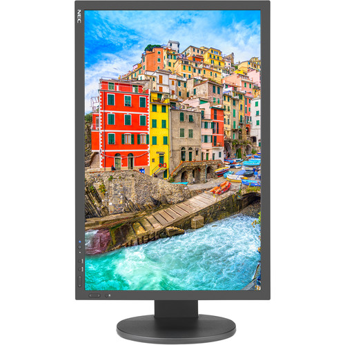 NEC PA243W-BK-SV 24.1