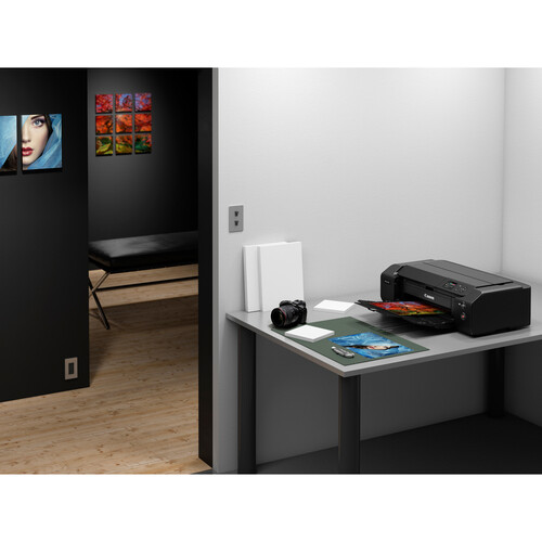 Canon imagePROGRAF PRO-300 13
