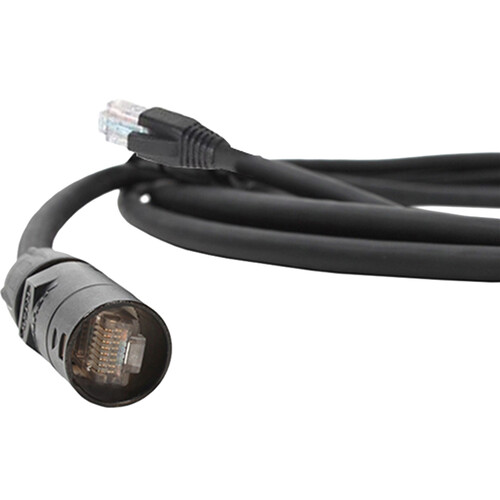 Pro Co Sound ProCat 5 10/100 Base-T Ethernet Cable RJ-45/ EtherCon (1')
