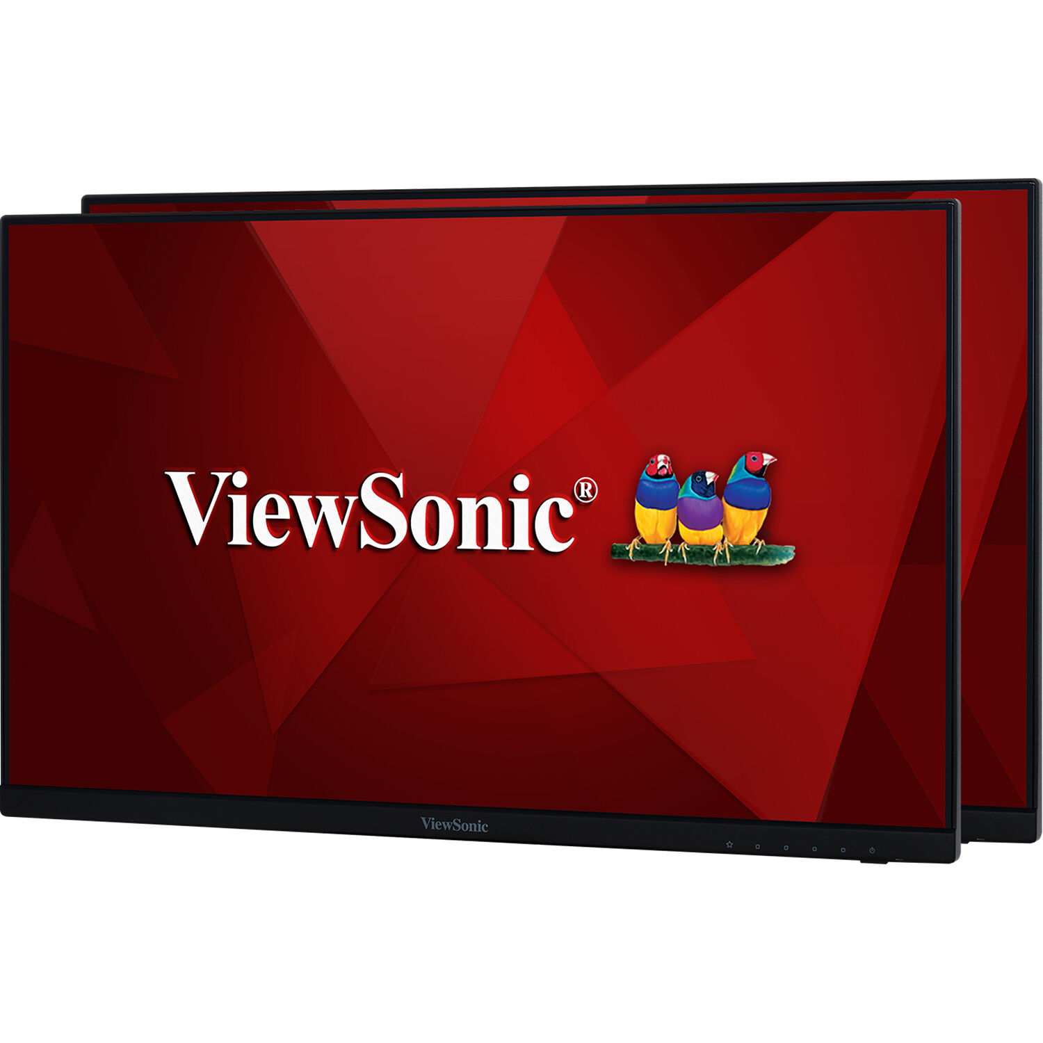 ViewSonic VA2256-mhd_H2 21.5" 16:9 Full HD IPS Monitor (2-Pack, No Stands)